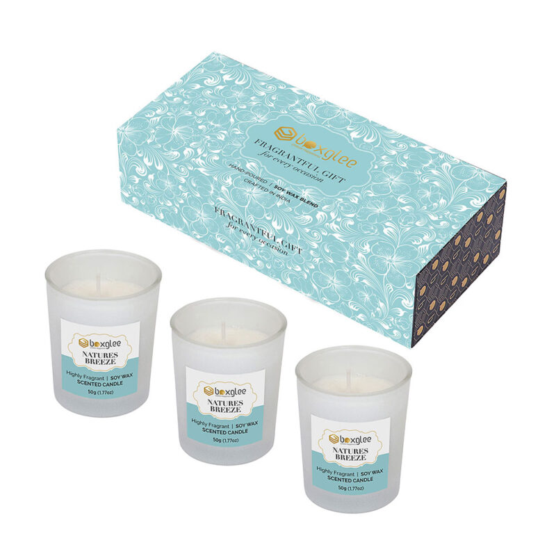 Votive Scented Candles Nature Breeze Fragrance