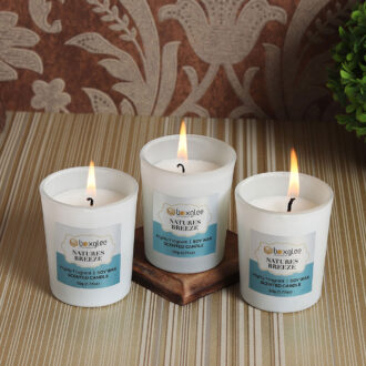 Votive Scented Candles Nature Breeze Fragrance